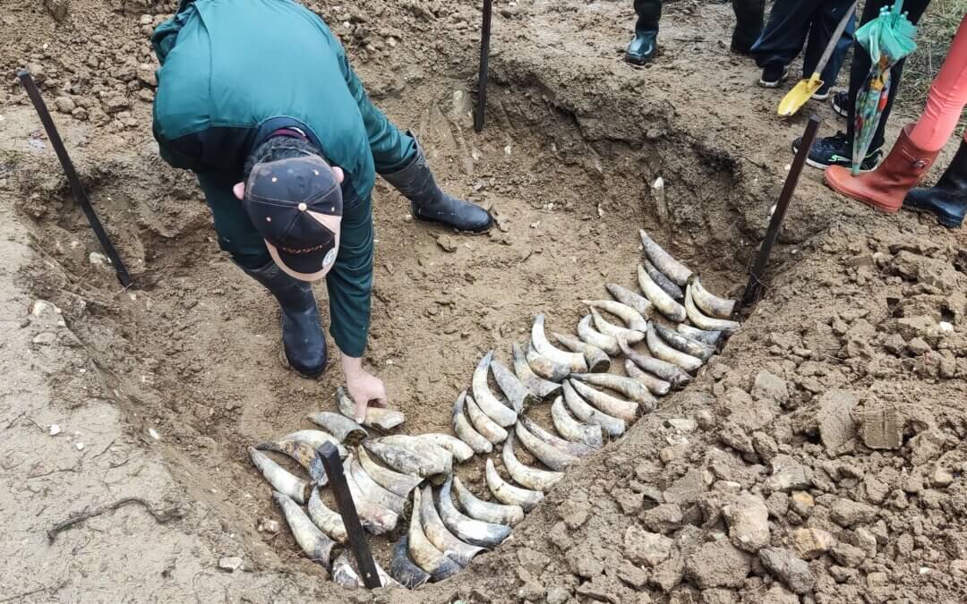 Journée de préparation « Compost Biodynamique »